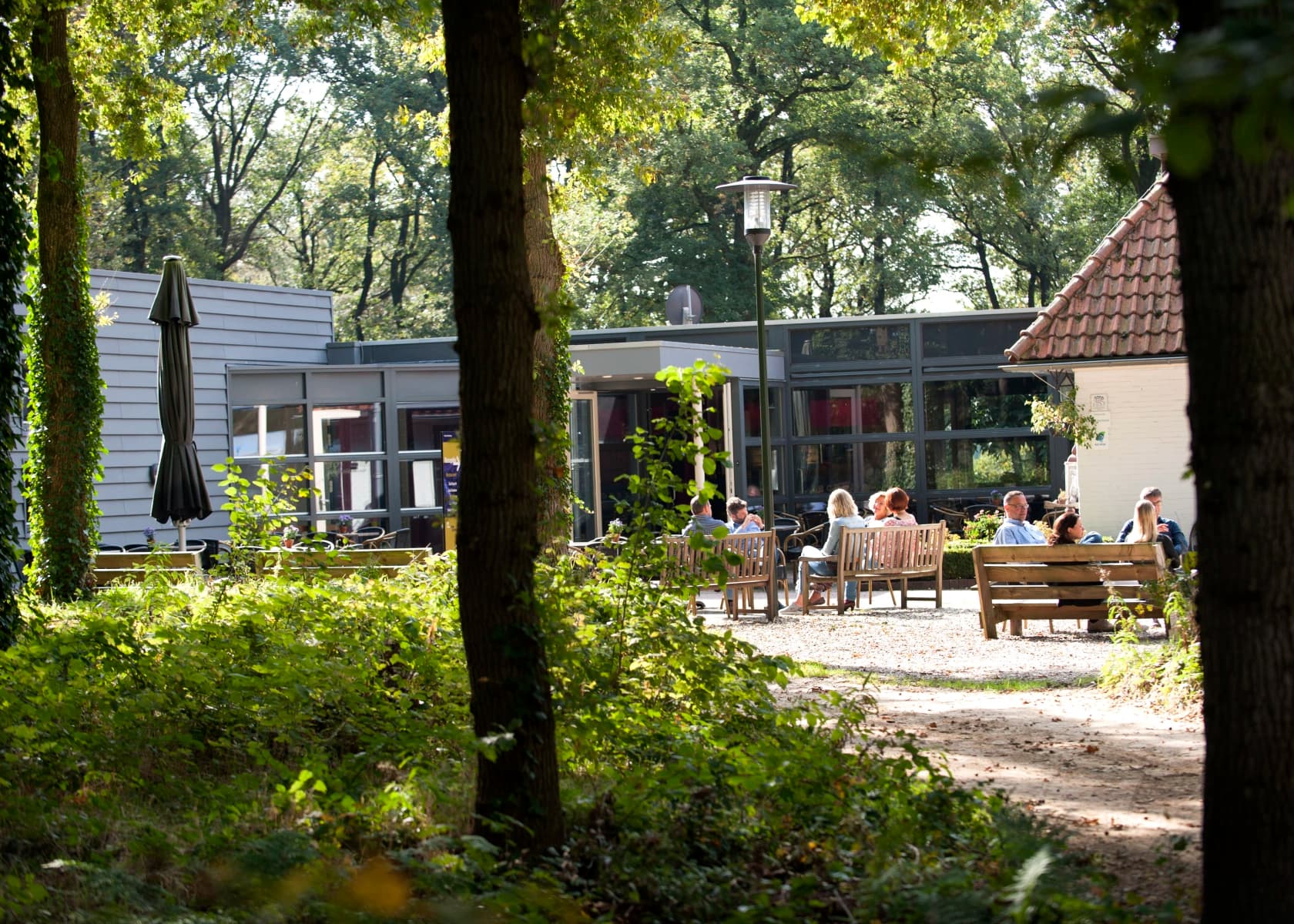 Sfeerbeeld van Nieuw Allardsoog