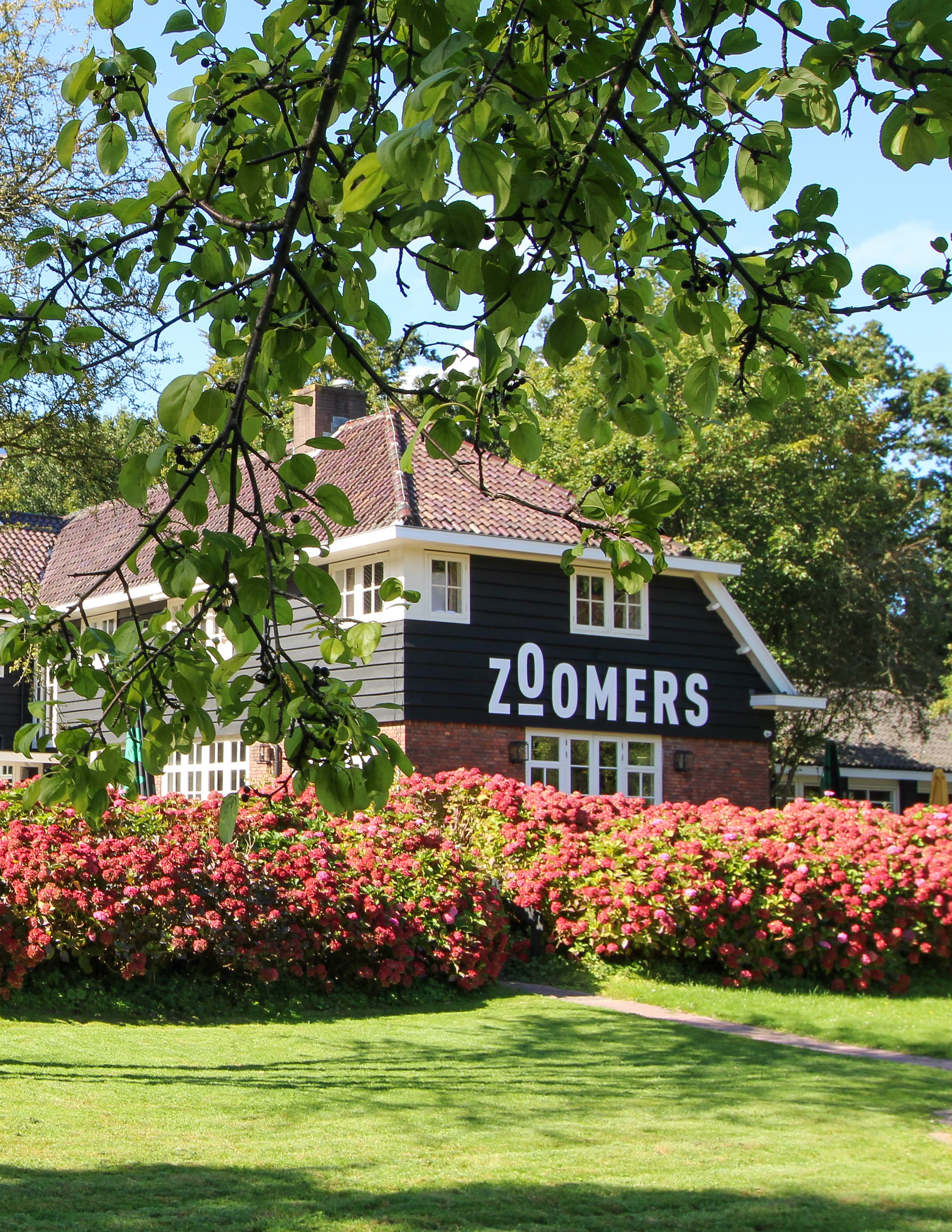 Zoomers aan het Bos
